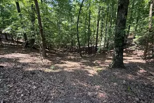 2115 Palisade Dr, Ellijay, GA 30540 - Photo 1