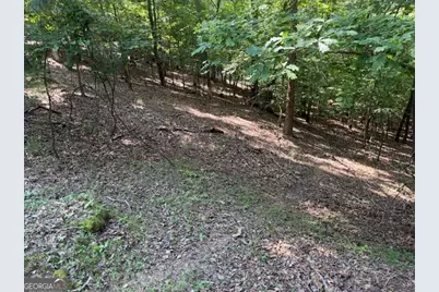 2115 Palisade Drive, Ellijay, GA 30540 - Photo 5