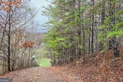 539 Nicholson Trail, Hiawassee, GA 30546 - Photo 9