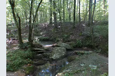 0 Mt Tabor Road, Oxford, GA 30054 - Photo 5