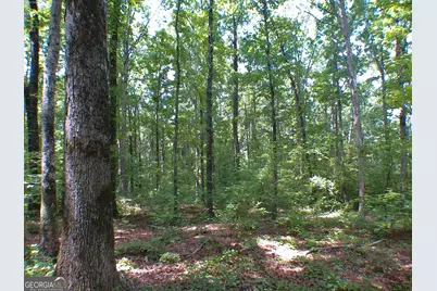 0 Mt Tabor Road, Oxford, GA 30054 - Photo 7