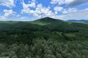 550 Watson Rd, Epworth, GA 30541 - Photo 63