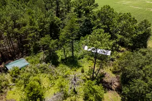 7552 Webb Rd, Hahira, GA 31632 - Photo 57