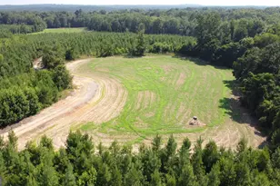 9390 Hopewell Rd, Lizella, GA 31052 - Photo 1