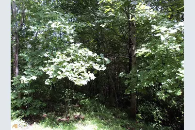 0 Smokey Hollow Drive #LOT 27, Dillard, GA 30537 - Photo 5