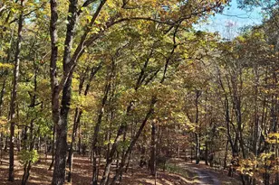 629 Waters Edge Dr, Clarkesville, GA 30523 - Photo 43