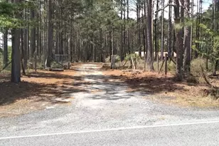 1550 Adabelle Rd, Register, GA 30452 - Photo 27