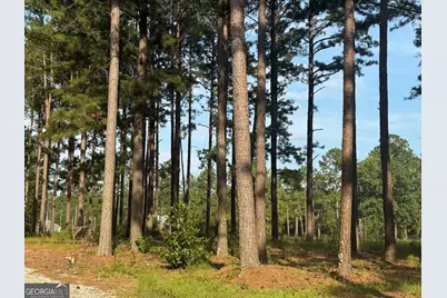 1550 Adabelle Road, Register, GA 30452 - Photo 3