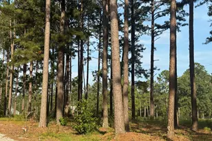 1550 Adabelle Rd, Register, GA 30452 - Photo 3