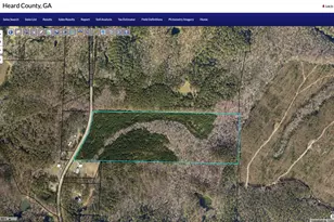 0 Roosterville Rd, Franklin, GA 30217 - Photo 7