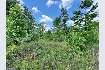 Lot 1 Rock Springs Road, Dublin, GA 31021 - Photo 3