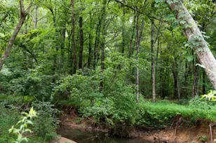 1224 Texas Valley Rd NW, Rome, GA 30165 - Photo 75