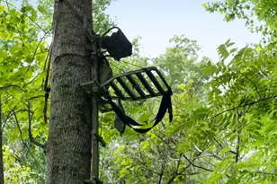 1224 Texas Valley Rd NW, Rome, GA 30165 - Photo 69