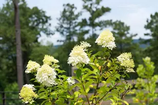 1224 Texas Valley Rd NW, Rome, GA 30165 - Photo 63