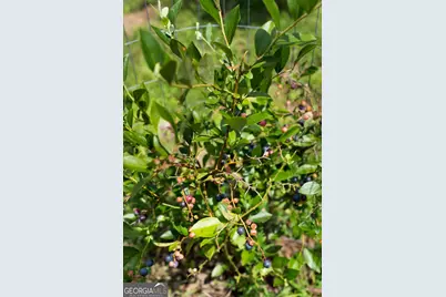 1224 Texas Valley Road NW, Rome, GA 30165 - Photo 61