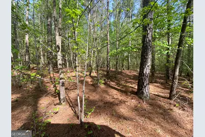 2B Curry Falls Trail, Athens, GA 30607 - Photo 3