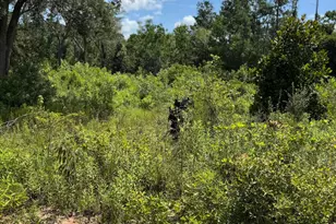 5125 Kinderlou Clyattville Rd, Valdosta, GA 31601 - Photo 1