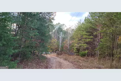 745 Brewsterfield Road, Cedartown, GA 30125 - Photo 5