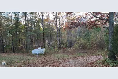 745 Brewsterfield Road, Cedartown, GA 30125 - Photo 11