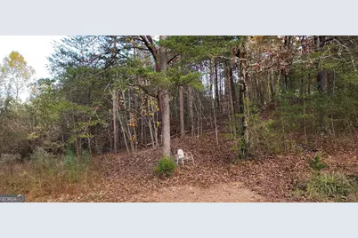 745 Brewsterfield Road, Cedartown, GA 30125 - Photo 9