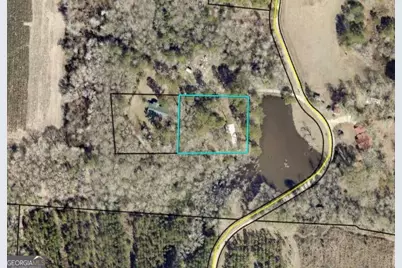 250 Bobby Sapp Road, Collins, GA 30421 - Photo 39