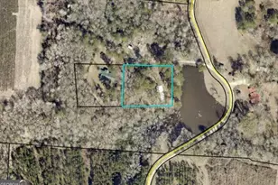 250 Bobby Sapp Rd, Collins, GA 30421 - Photo 39