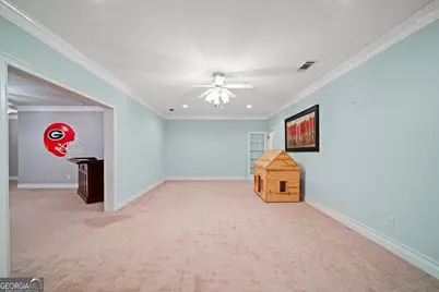 106 Shalea Lane, Ball Ground, GA 30107 - Photo 39