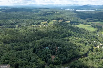 102 Tate Mill Ridge, Blairsville, GA 30512 - Photo 61