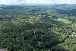 102 Tate Mill Ridge, Blairsville, GA 30512 - Photo 59