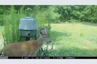 0 State Route 240 Road, Ideal, GA 31041 - Photo 27