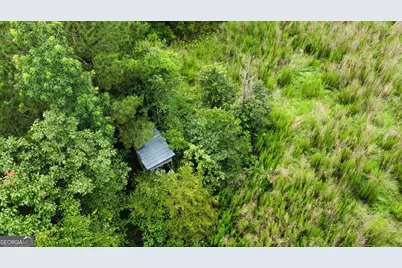 0 State Route 240 Road, Ideal, GA 31041 - Photo 9