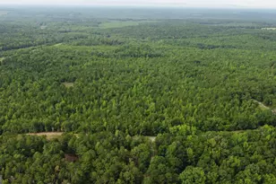 0 State Route 240 Rd, Ideal, GA 31041 - Photo 1