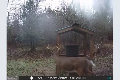 0 State Route 240 Road, Ideal, GA 31041 - Photo 33