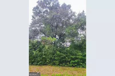 0 State Route 240 Road, Ideal, GA 31041 - Photo 23