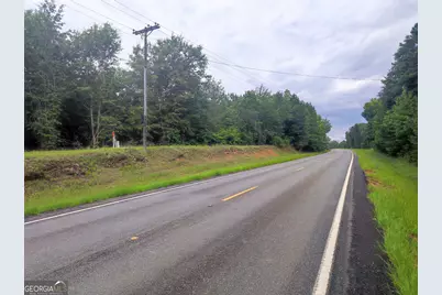 0 State Route 240 Road, Ideal, GA 31041 - Photo 3