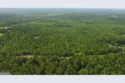 0 State Route 240 Road, Ideal, GA 31041 - Photo 15