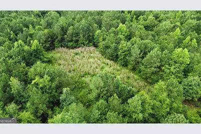 0 State Route 240 Road, Ideal, GA 31041 - Photo 13