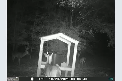 0 State Route 240 Road, Ideal, GA 31041 - Photo 31