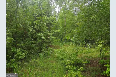 0 State Route 240 Road, Ideal, GA 31041 - Photo 19