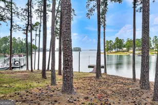 6075 Stb3 Ridge Rd, Applin, GA 30802 - Photo 43