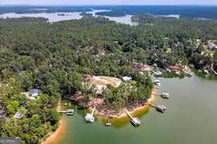 6075 Stb3 Ridge Rd, Applin, GA 30802 - Photo 47