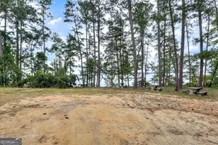 6075 Stb3 Ridge Rd, Applin, GA 30802 - Photo 51