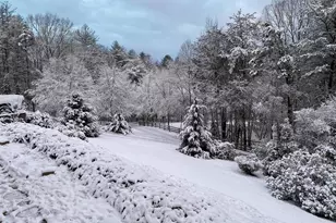 251 Quail Cove Ln, Brasstown, NC 28902 - Photo 97