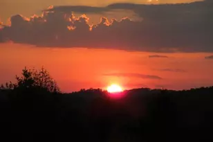 251 Quail Cove Ln, Brasstown, NC 28902 - Photo 39