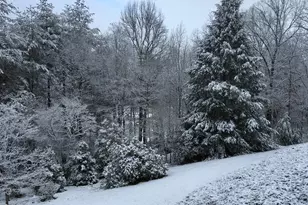 251 Quail Cove Ln, Brasstown, NC 28902 - Photo 97