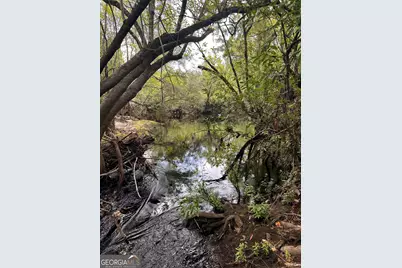 9757 Highway 185, Saint George, GA 31562 - Photo 13