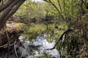 9757 Hwy 185, Saint George, GA 31562 - Photo 13