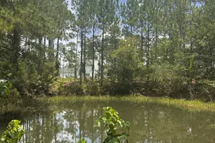 9757 Hwy 185, Saint George, GA 31562 - Photo 17