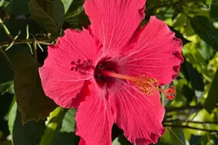 602 W Alexander St, Saint Marys, GA 31558 - Photo 5