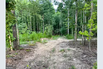 0 Roy Dean Road, Buchanan, GA 30113 - Photo 17